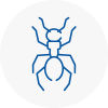 Ant Removals In Camden Town
