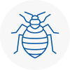 Bed Bug Extermination In Camden Town