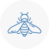 Bee Nest Removal Camden Town