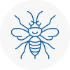 Camden Town Hornet Nest Removals