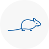 Mice Exterminators In Camden Town