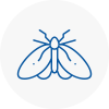 Moth Control Specialists In Camden Town