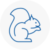 Camden Town Rodent Removals